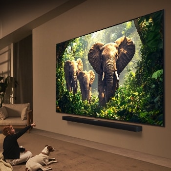 Duvara monte edilmi? LG QNED TV’nin ?nünde bir k?z ve k?pek oturuyor. Ekranda LG Soundbar’?n üzerinde d??ar? do?ru yürüyen ü? fil g?rüntüleniyor. Ba?l?k, devasa ekranda her aksiyonun nas?l daha heyecan verici oldu?undan bahsediyor.