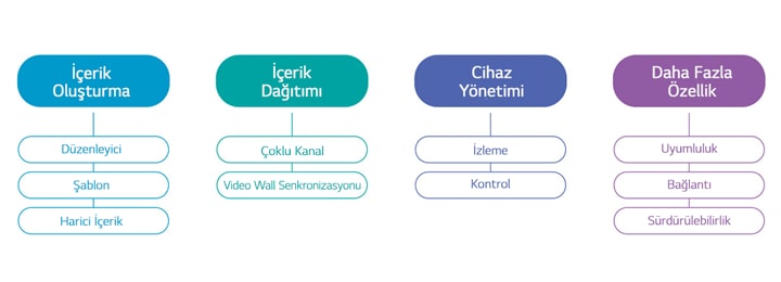 Düzenleyici