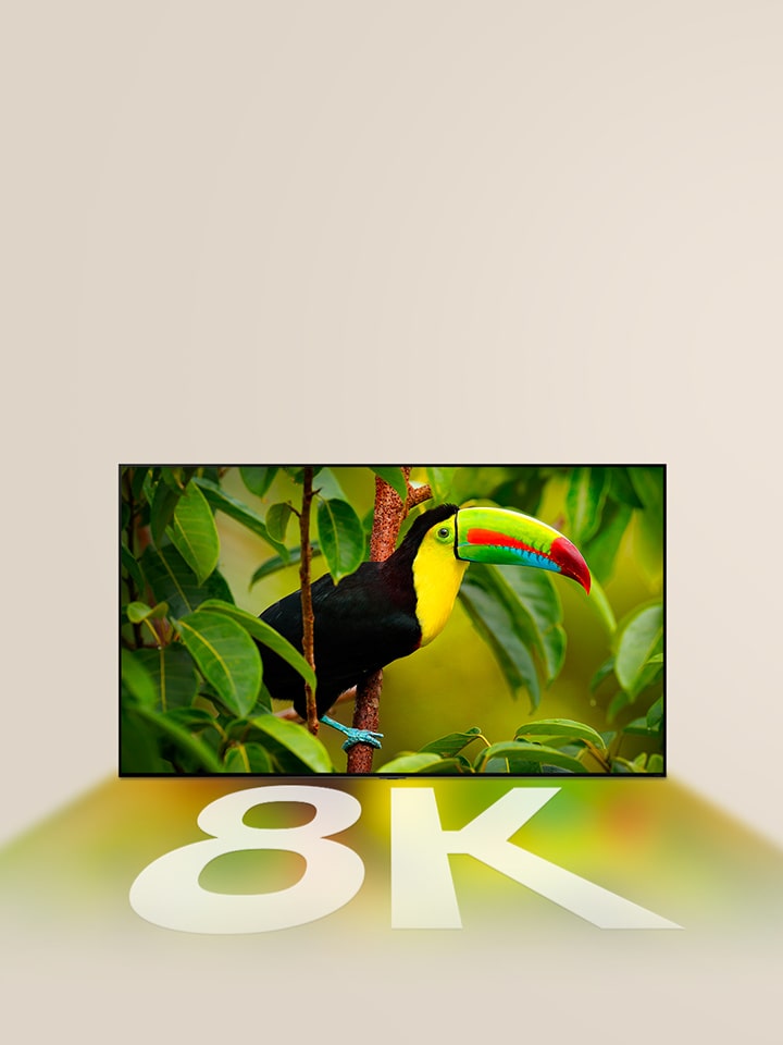 LG TV ekran?nda egzotik bir ku? ve a?a?lar g?rüntüleniyor. Ekrandaki renkler ve beyaz renkli “8K” yaz?s? LG TV’nin alt?na yans?yor.