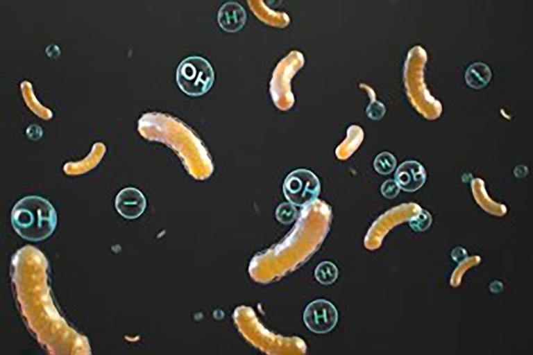 細菌與微生物吸附於離子上並且消失。