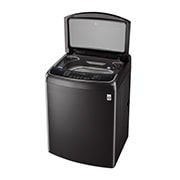 LG 21公斤直立式洗衣機｜極光黑｜蒸氣直驅變頻, WT-SD219HBG