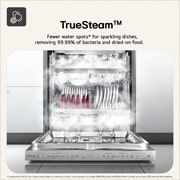 TrueSteam