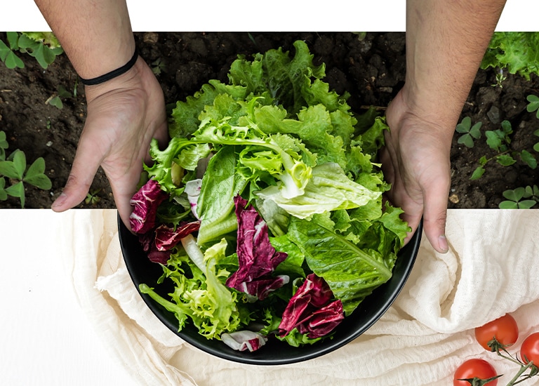 Hands holding a bowl of fresh mixed greens above soil with tomatoes on a cloth to the right.