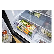 BigFreshZone+FreshTray