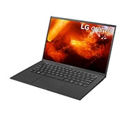 LG gram Ultra-Lightweight with 14” 16:10 IPS Display and 11th Gen Intel? Core? i5 Evo? platform and Iris? Xe Graphics, 14Z90P-K.AA53A1