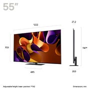 LG 55 inch LG OLED evo AI G4 4K Smart TV 2024 - Stand version, OLED55G46LS