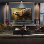 LG 55 inch LG OLED evo AI G4 4K Smart TV 2024 - Stand version, OLED55G46LS
