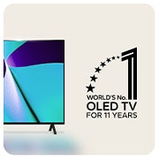 NO.1 for 11 years view