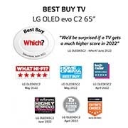 LG OLED evo C2 65 inch TV 2022, OLED65C24LA