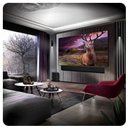 LG OLED evo G3 77 inch 4K Smart TV 2023, OLED77G36LA