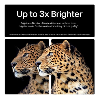 alpha 11 AI Processor Gen2 is against a dark background. It glows with purple and blue light from within illuminating the microchip circuits around it. The title talks about how the processor that is dedicated to LG OLED evo delivers 4K quality, stunning color and brightness with pixel-level precision.