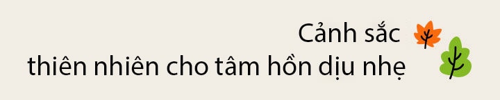 Tiêu ??: C?nh s?c thiên nhiên cho tam h?n d?u nh?