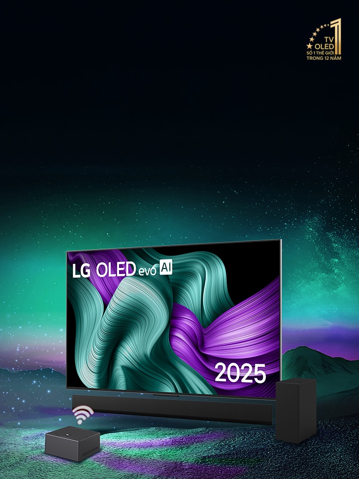 TV 2025