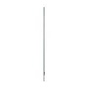 LG OLED signage trong su?t, 55EW5TF-A