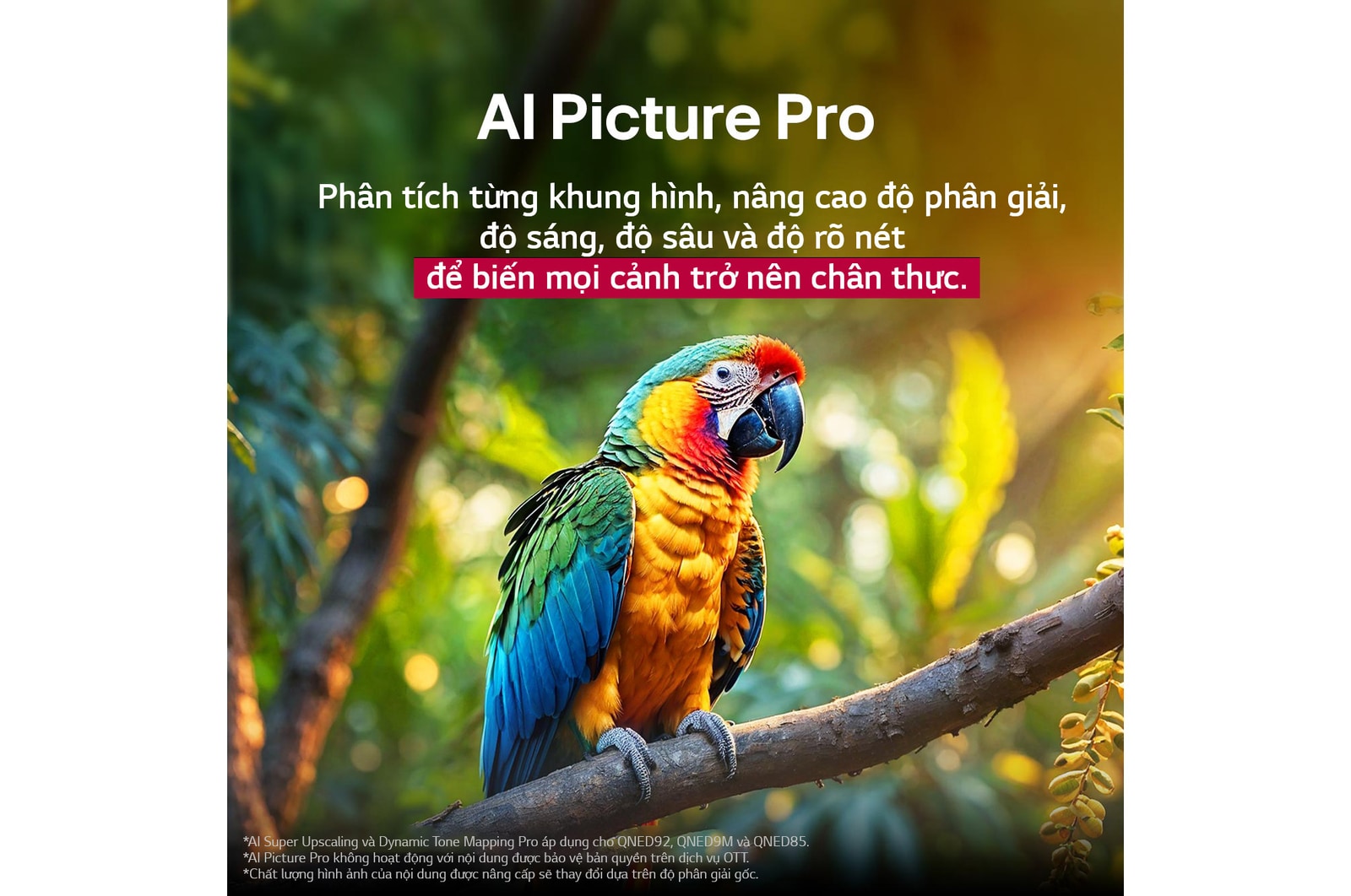 Con v?t ??u trên cành cay có màu s?c s?ng ??ng. Tiêu ?? nói v? nh?ng c?i thi?n ?n t??ng c?a LG Al Picture Pro v?i hình ?nh v? ?? phan gi?i, ?? sáng, ?? sau và ?? r? nét c?a c?nh.
