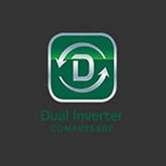 Dual Inverter Compressor?