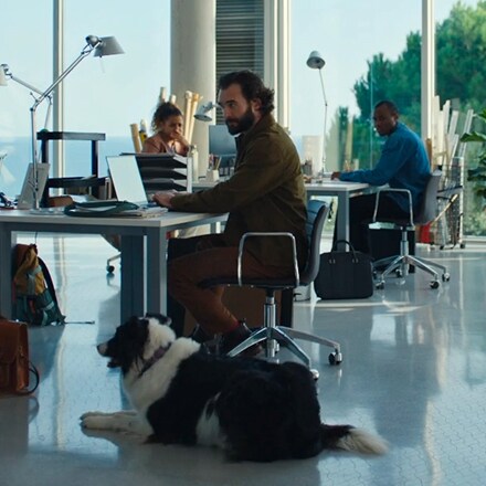Ein Mann und sein Hund sitzen an einem Schreibtisch in einem Büro und schaffen eine warme und einladende Atmosph?re am Arbeitsplatz.