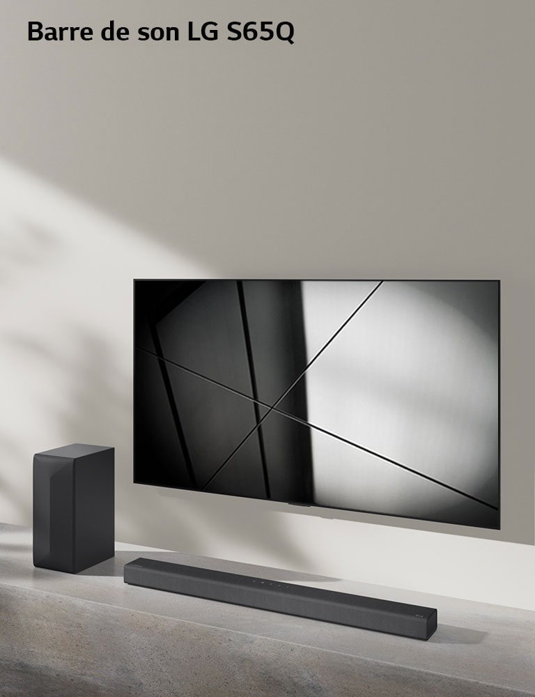La barre de son S95QR de LG et le téléviseur LG sont placés ensemble dans le salon. Le téléviseur est allumé et projette une image en noir et blanc.