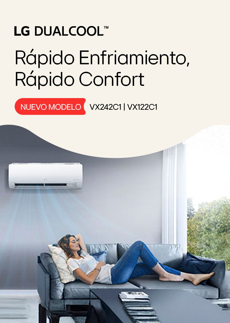 Aire Acondicionado Inverter