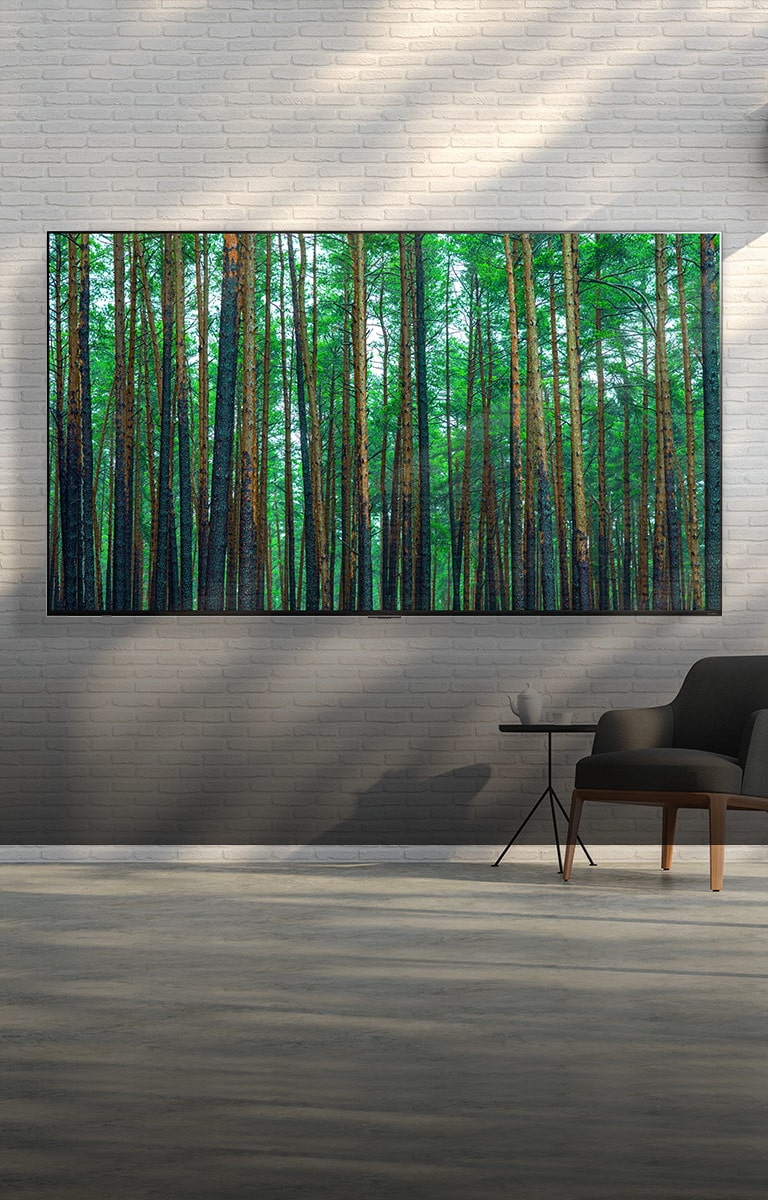 Suuri LG QNED Mini LED -TV asennettuna valkoiselle tiilisein?lle, edess? on pieni nojatuoli ja p?yt?. N?yt?ss? n?kyy mets??.