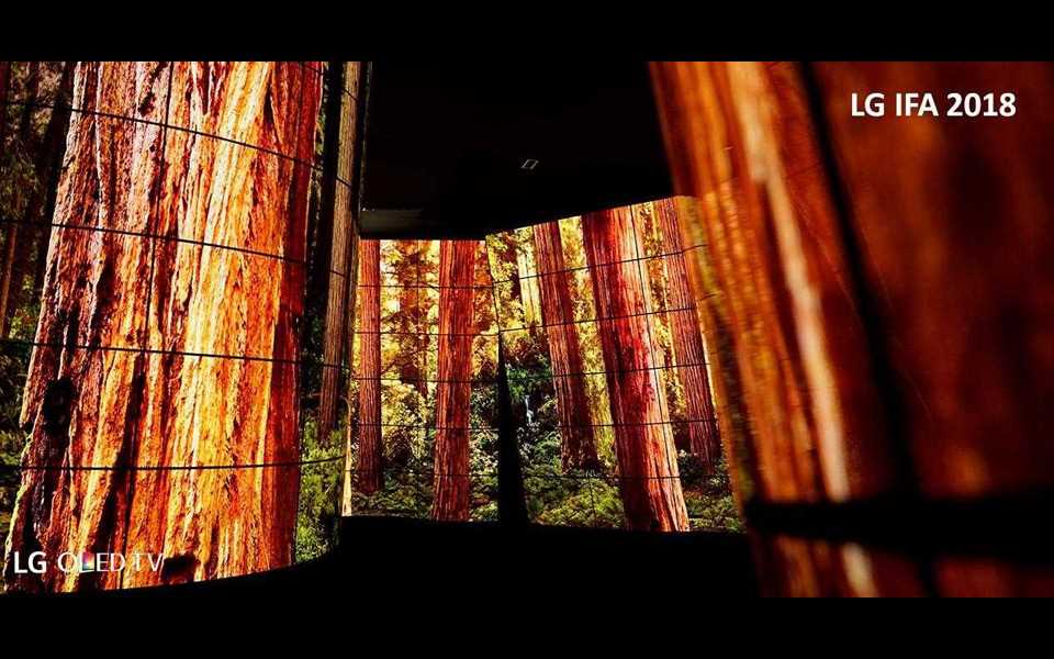 Le canyon OLED de LG a séduit les visiteurs de l'IFA 2018.