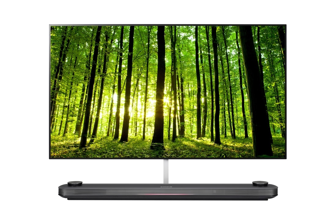 LG 65'' OLED Wallpaper Hotel TV, 65WU960H (EU)