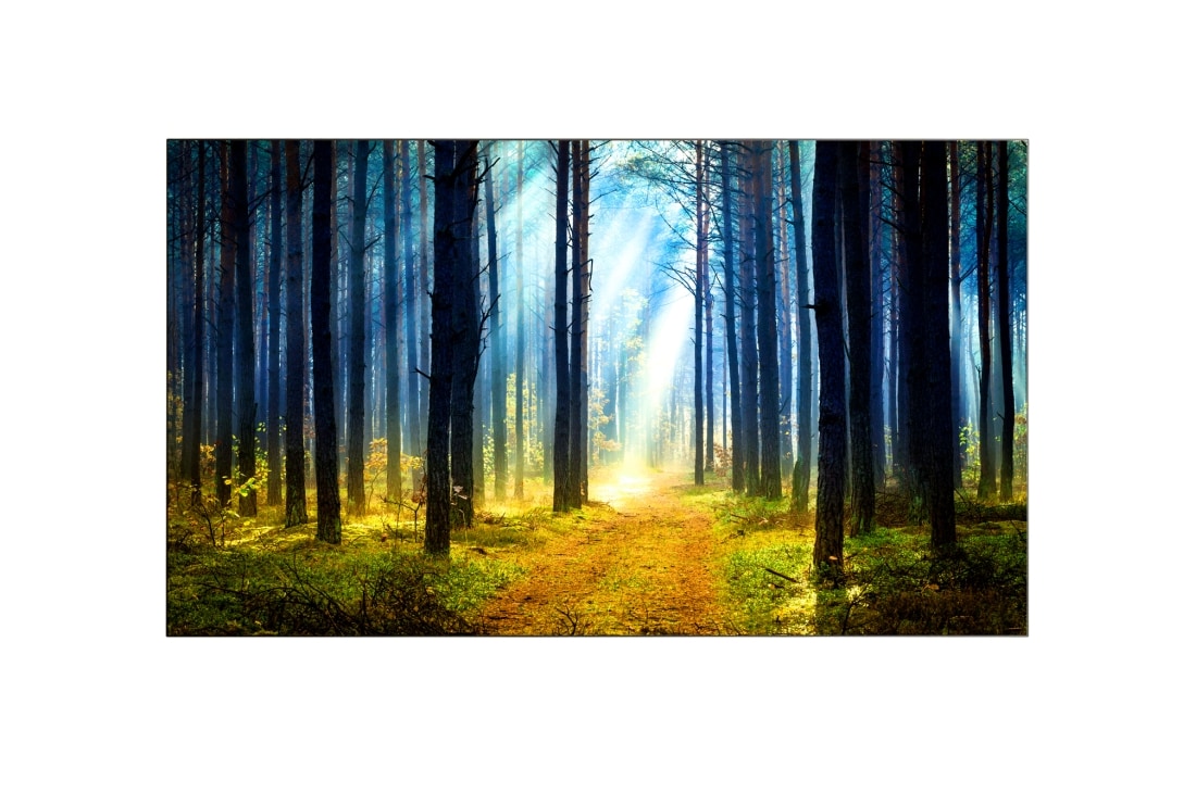 LG 65'' Pro:Centric Wallpaper OLED Hotel TV, 65WT980H (EU)