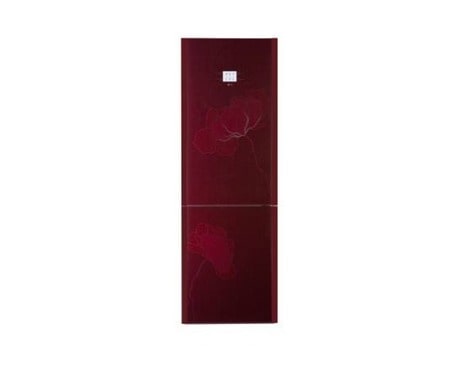 LG Ψυγειοκαταψ?κτη? No Frost, χωρητικ?τητα? 303lt, GC-B409TDHV, GC-B409TDHV
