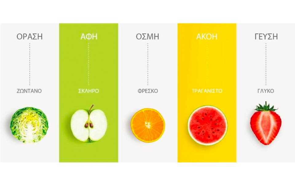 Five senses Ver gr 1280x640.jpg