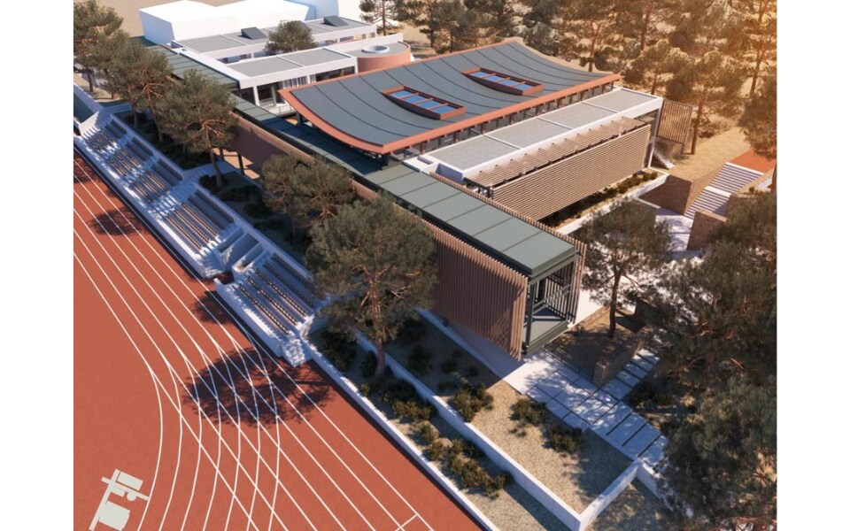 Pinewood (7).png