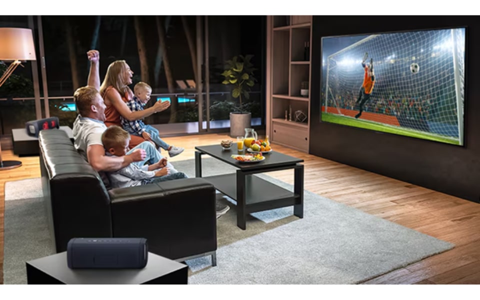 sportsviewing (2).png