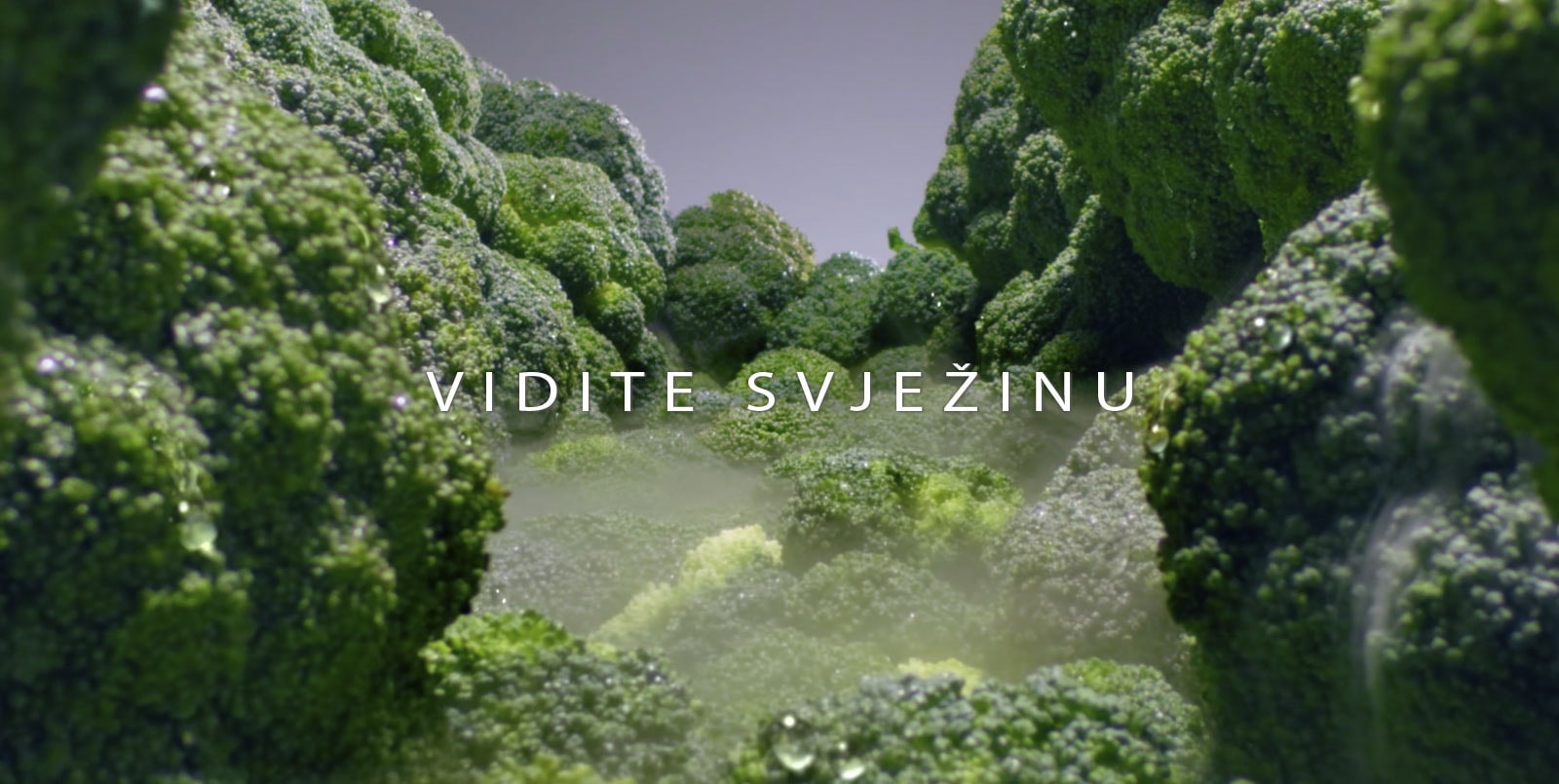 Va?a hrana du?e ostaje svje?a