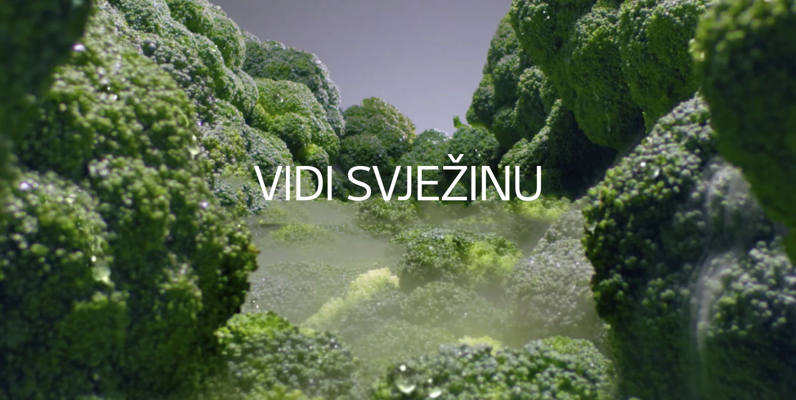 VIDI SVJE?INU POMIRI?I SVJE?INU OKUSI SVJE?INU