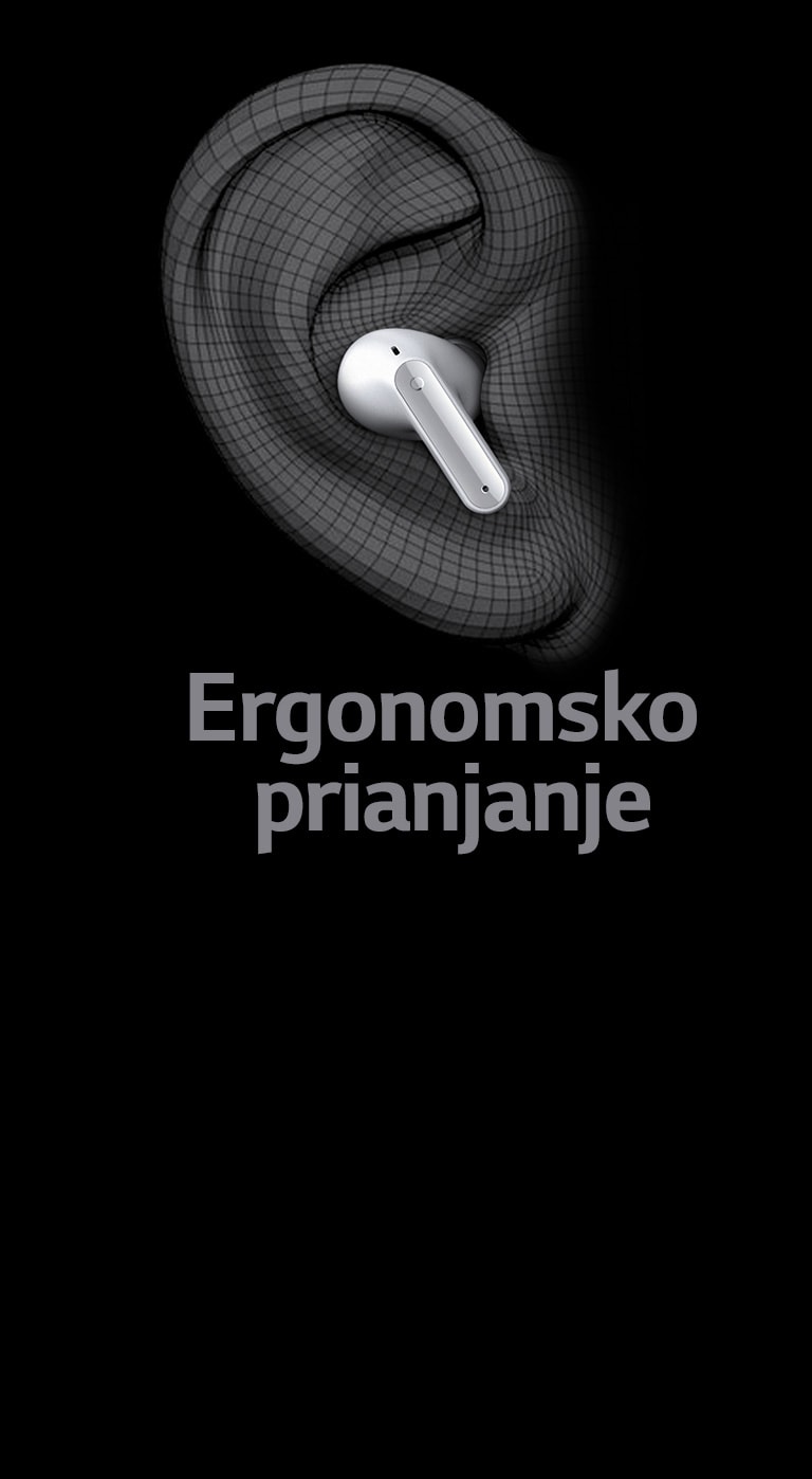 Dizajn u obliku u?ne ?koljke