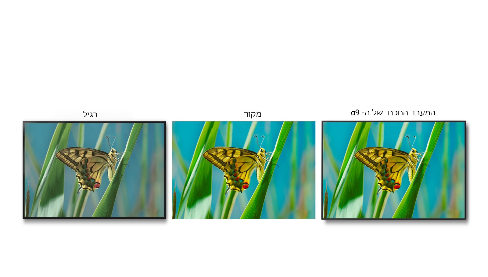 06_Alpha9_Color_Accuracy_desktop02-new