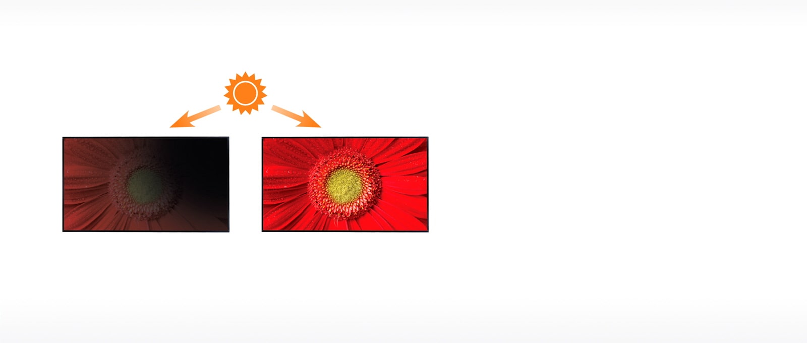 03.feature_01.High Brightness
