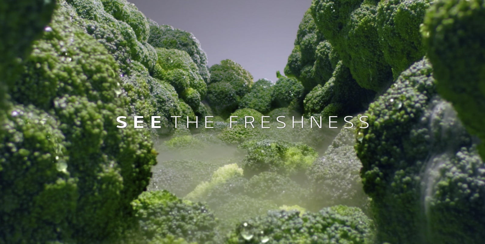 See The Freshness