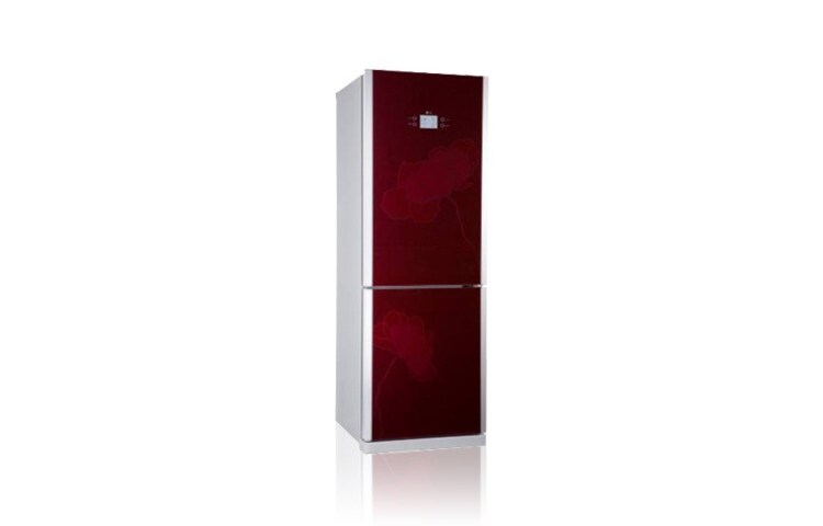 LG ārējais displejs, aug?u un dārze?u nodalījums, funkcija No Frost, brīvdienu funkcija, GA-B399TGAW
