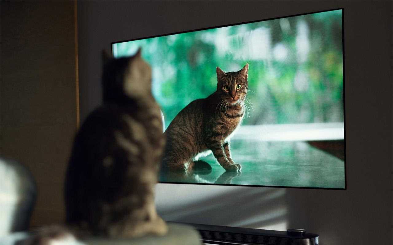 LG OLED65W7 televizors