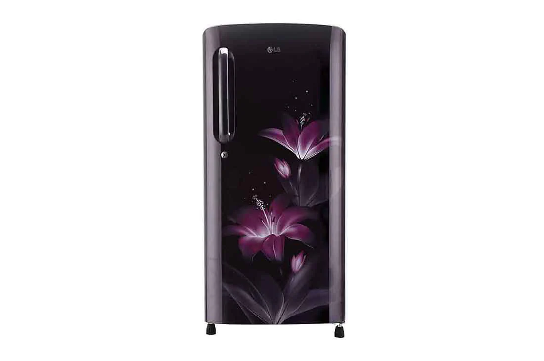 LG 190 L, Smart Inverter Compressor, GL-B205APGB