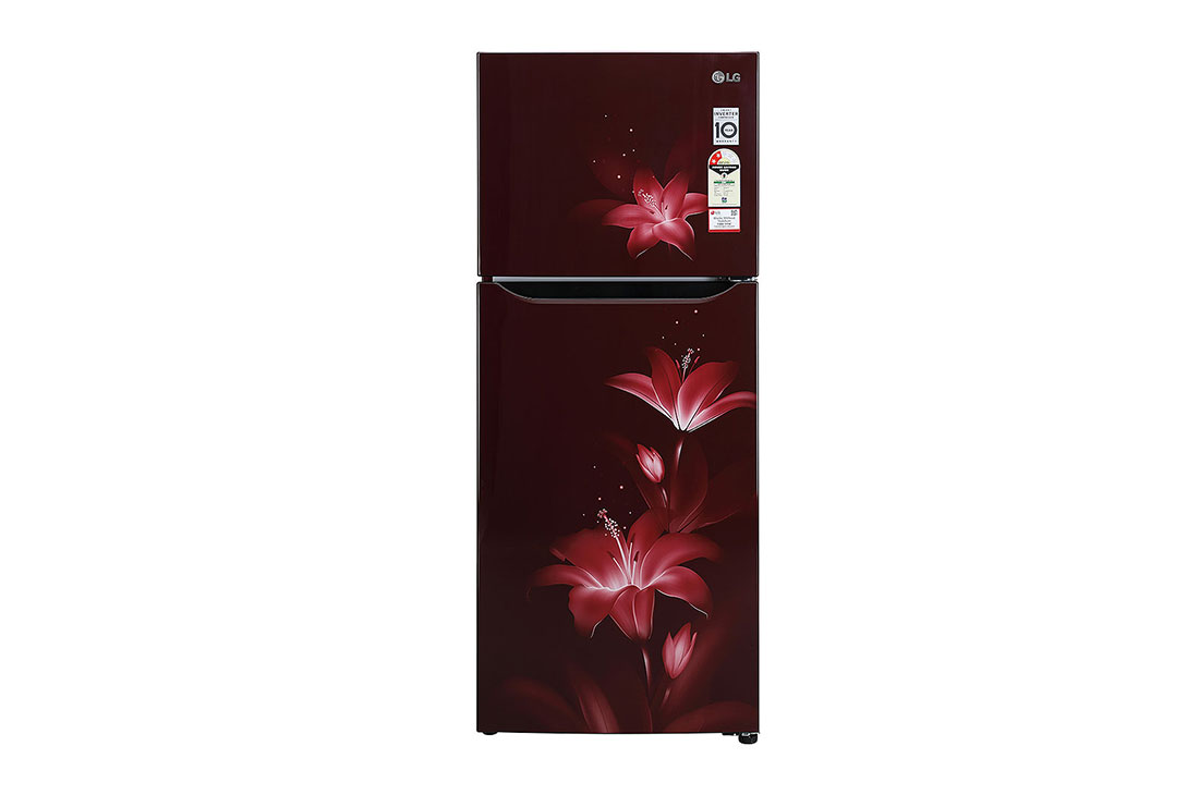 LG 260 Litres Frost Free Refrigerator With Smart Inverter Compressor, Multi Air Flow, LED Lighting, MOIST ‘N’ FRESH, LG GL-K272SPTL Front View, GL-K272SPTL