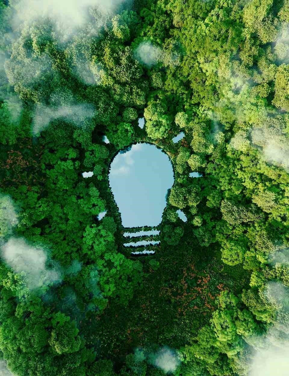 Um frigorífico eficiente do ponto de vista energético ajuda a reduzir os custos e o impacto ambiental