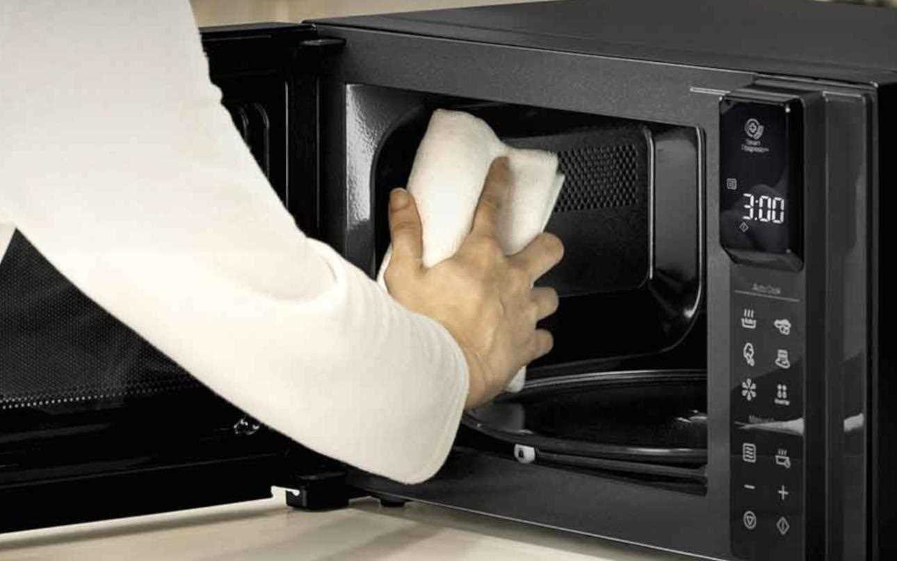 limpar-microondas-header.jpg