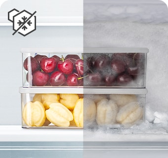 Compara?ie de recipiente cu fructe congelate