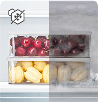 Compara?ie de recipiente cu fructe congelate