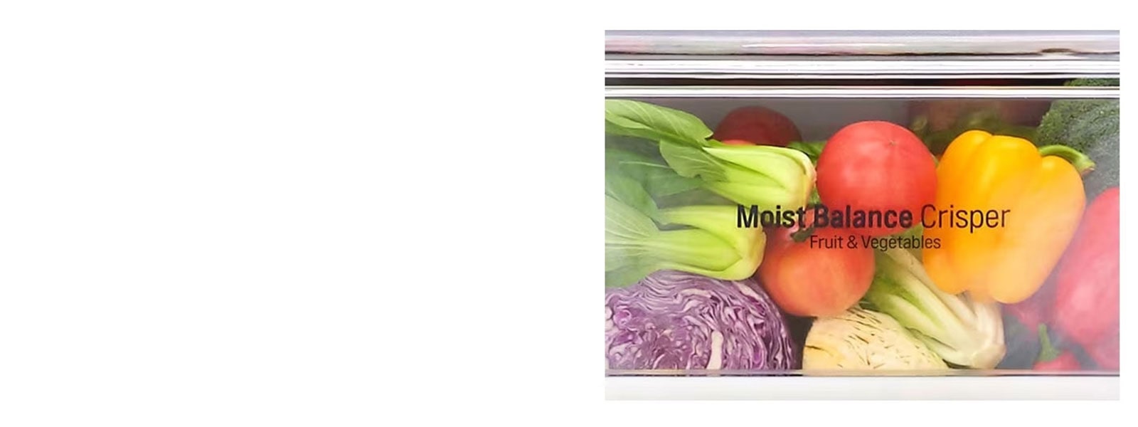 Moist Balance Crisper?2