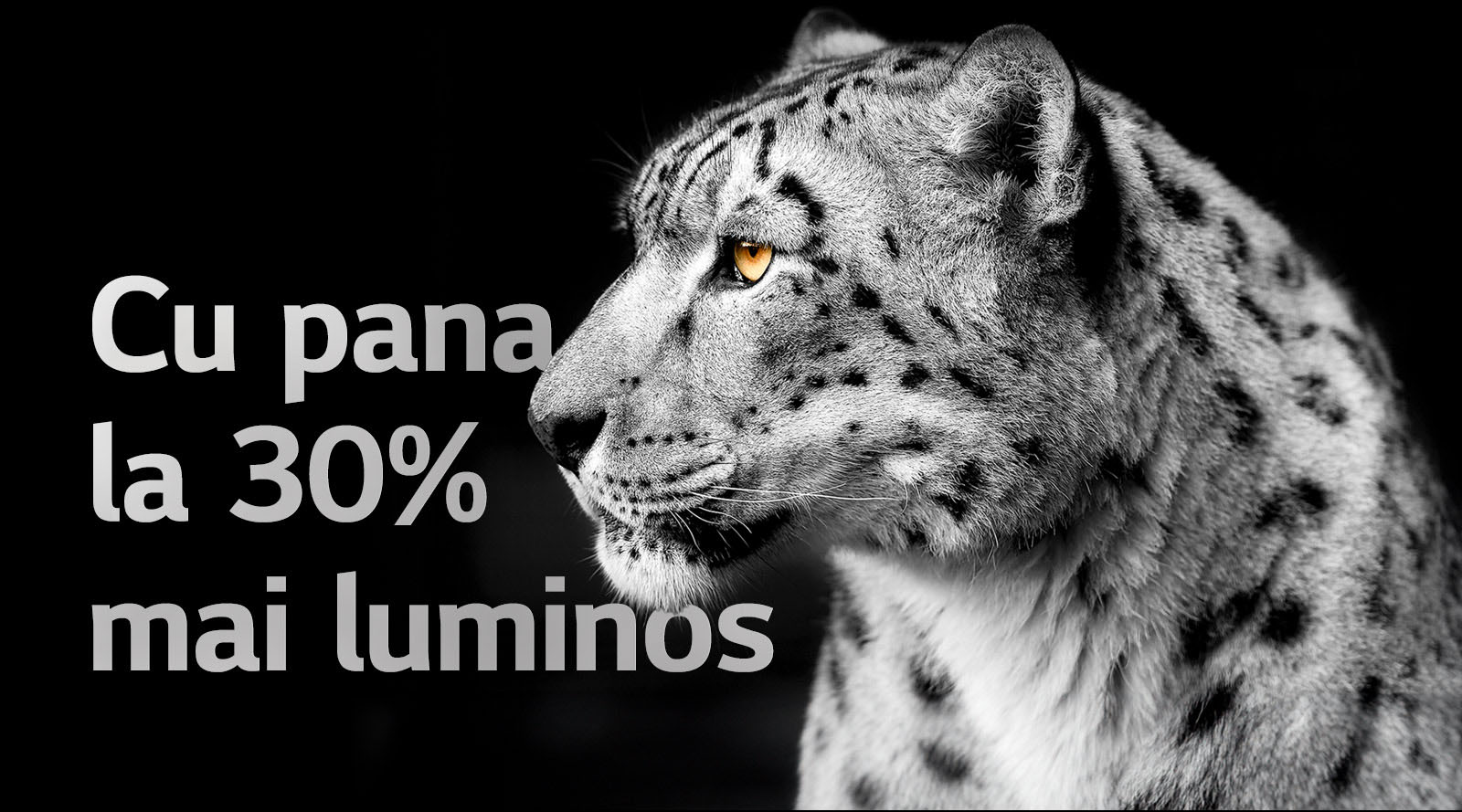 Un leopard alb care ??i arat? fa?a din lateral, ?n partea stang? a imaginii. Cuvintele ?Pan? la 30% mai luminos” apar ?n stanga.