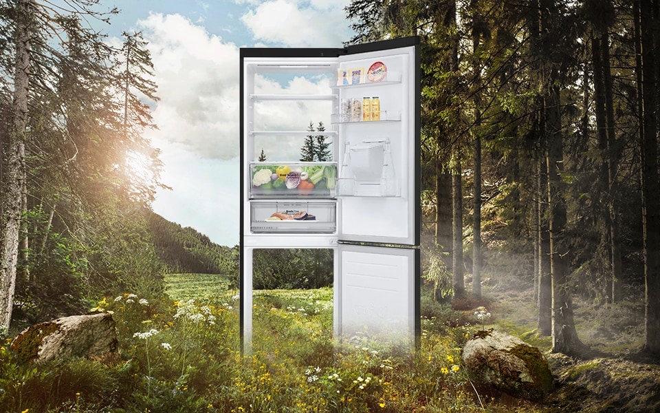 Un frigider-congelator cu eficien?? energetic? de clasa A ia în considerare mediul înconjur?tor