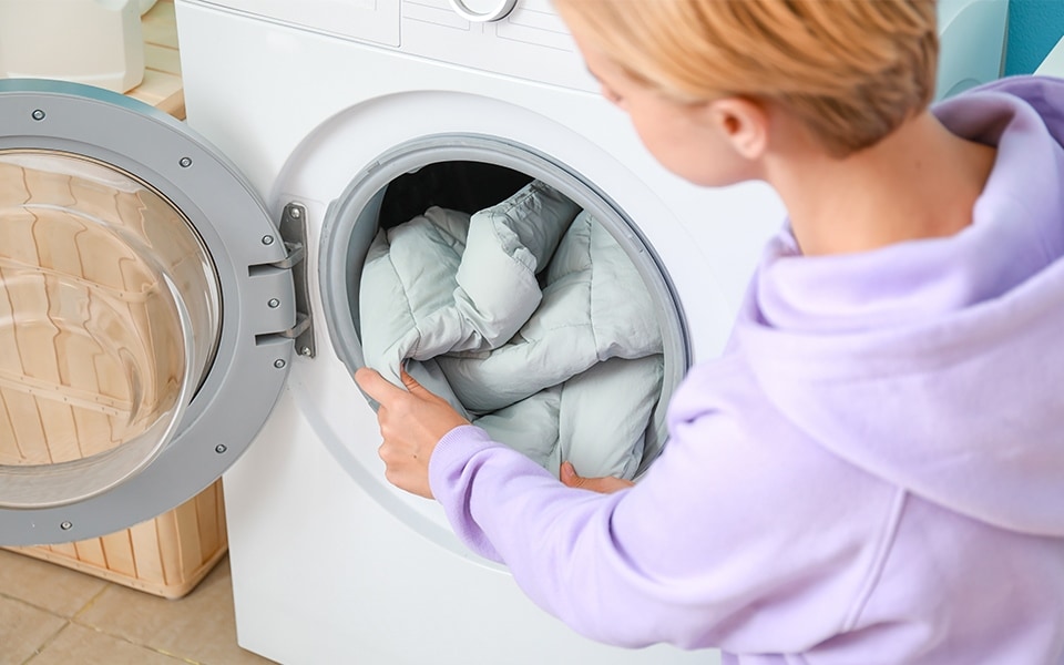 Washer Cycles picture goose down.jpg