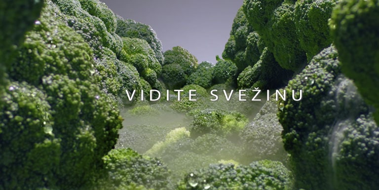 VIDI SVE?INU POMIRI?I SVE?INU OKUSITE SVE?INU